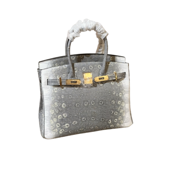 Hermes Birkin 06