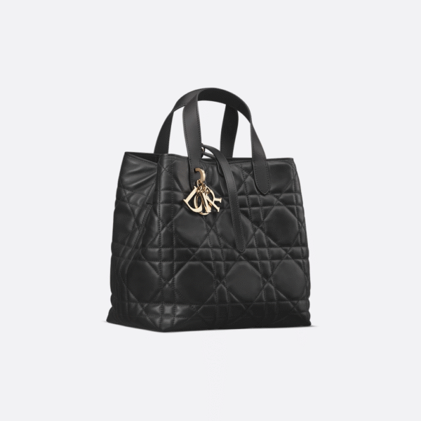 Dior Toujours