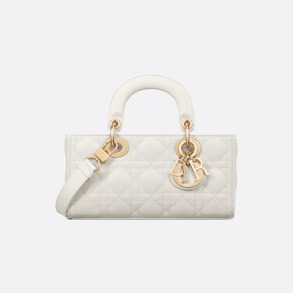 Dior Lady