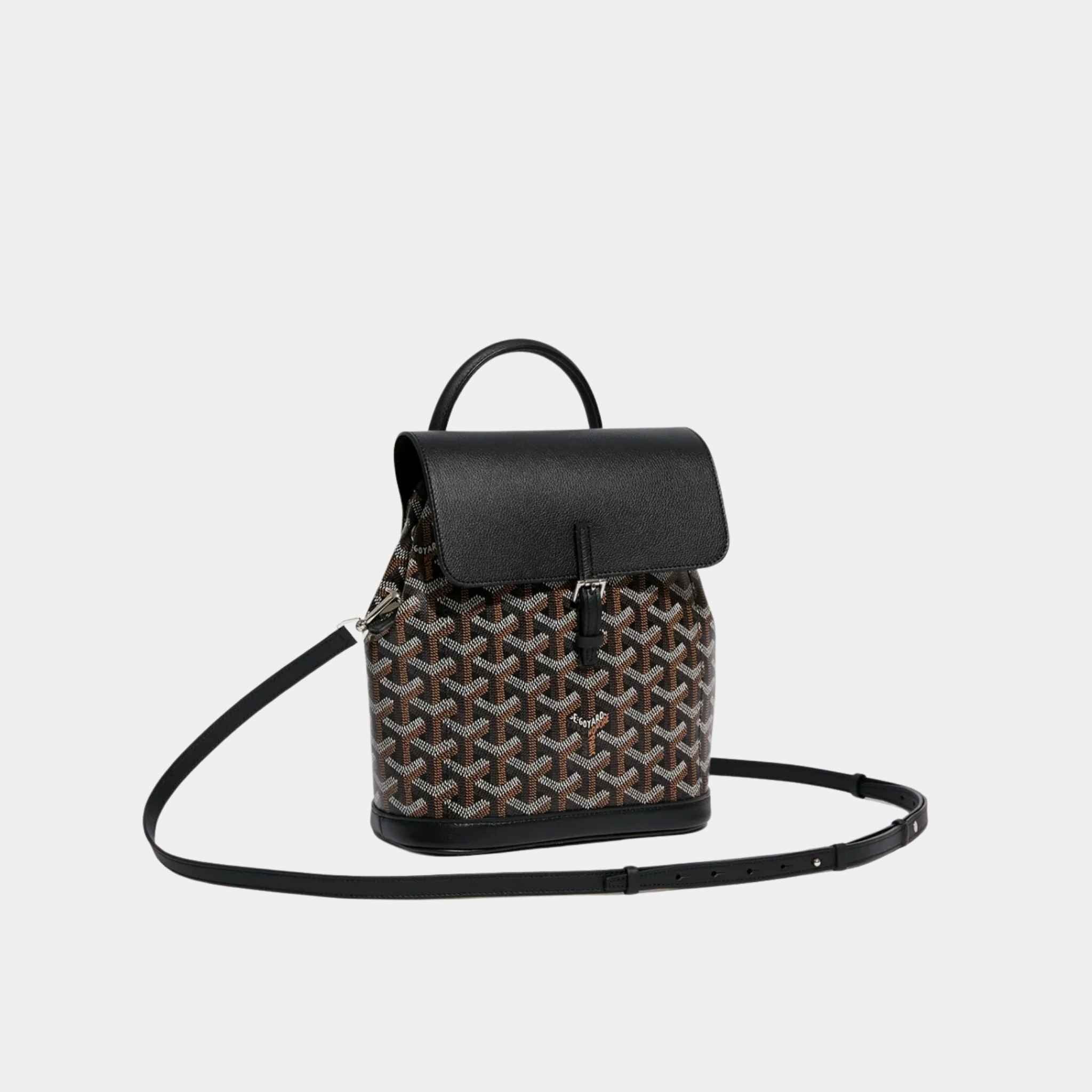 goyard-alpin-mini-backpack-black-front-view-1